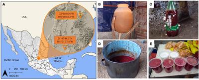 Constructing Micro-Landscapes: Management and Selection Practices on Microbial Communities in a Traditional Fermented Beverage